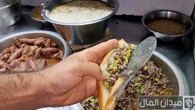 دراسة جدوى مشروع عربية كبدة وأرباح المشروع