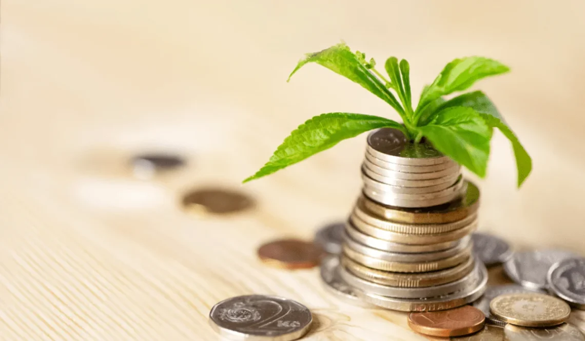 فكرة مشروع مربح جدا برأس مال 10000 ريال