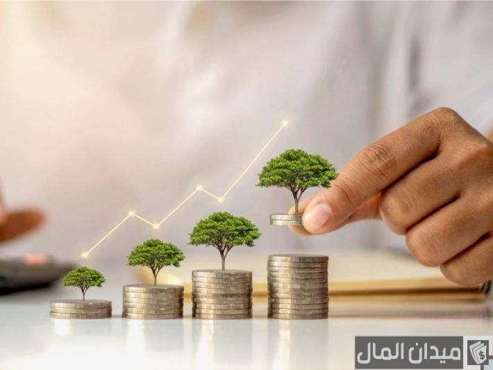 خطوات حساب معدل العائد على رأس المال