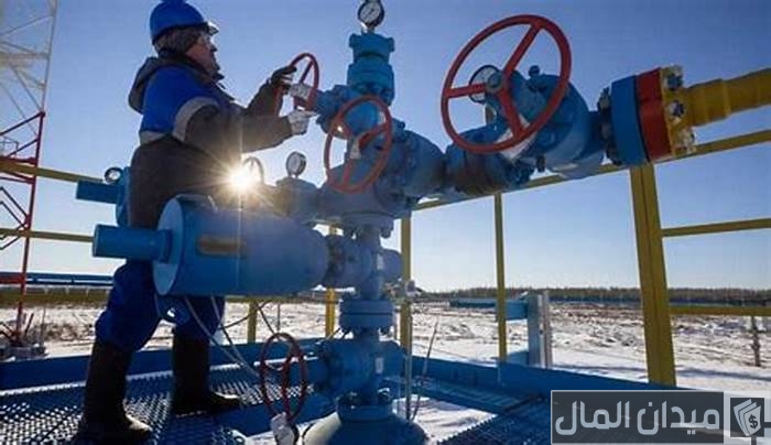 هبوط في أسهم الأسمدة المقيدة بالبورصة اليوم بسبب نقص إمدادات الغاز الطبيعي للمصانع