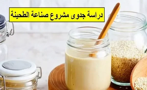 دراسة جدوى مشروع صناعة وتعبئة وبيع الطحينة