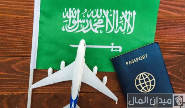 التأشيرات المسموح بها للمؤسسة 