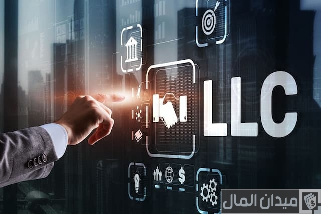 الشركة ذات المسؤولية المحدودة الشركة ذات المسؤولية المحدودة