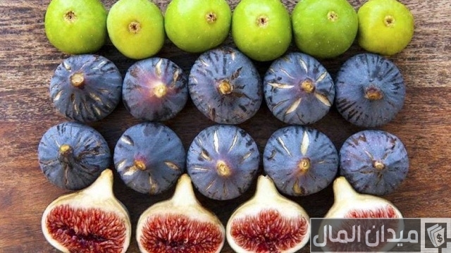 أفضل أنواع التين في العالم