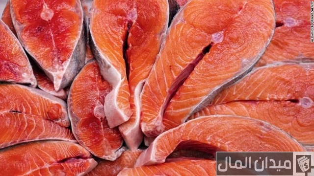 أفضل أنواع السمك في السعودية