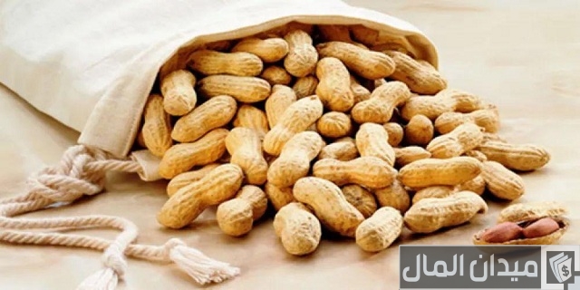 أكثر دول العالم إنتاجًا للفول السوداني