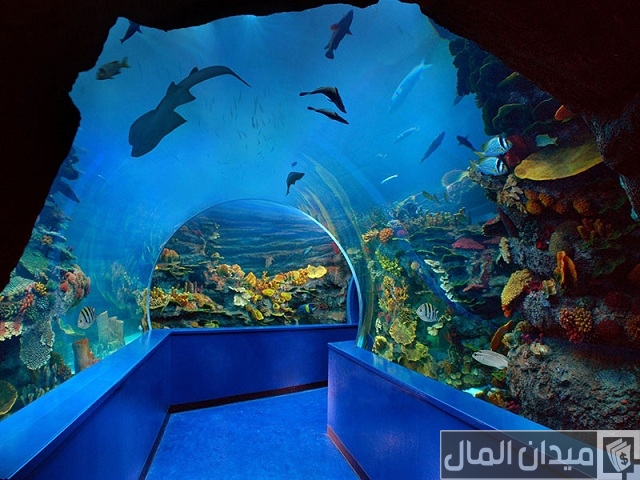 أوقات عمل مربى الشارقة أكواريوم الأحياء المائية