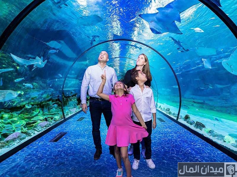مواعيد عمل مربى الشارقة أكواريوم الأحياء المائية