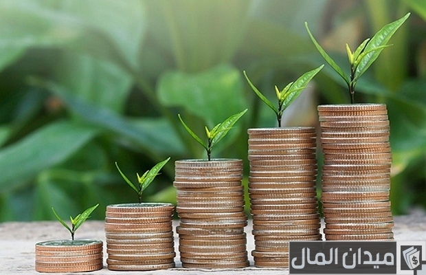 ما هي الأنشطة المسموح بها للمستثمر الأجنبي في السعودية