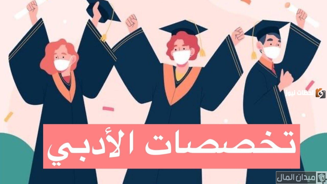 التخصصات الأدبية التي لها مستقبل.. هل قسم الادبي له مستقبل؟