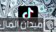 شروط وخطوات الربح من التيك توك في السعودية واستلام الارباح