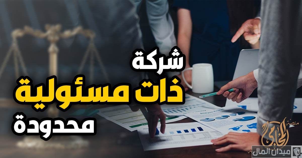 خصائص الشركة ذات المسؤولية المحدودة