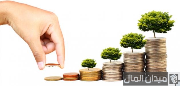 العائد على الاستثمار العائد على الاستثمار