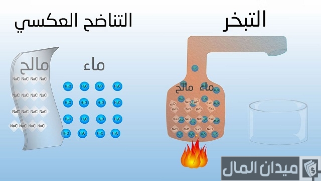تحلية ماء البئر في المنزل