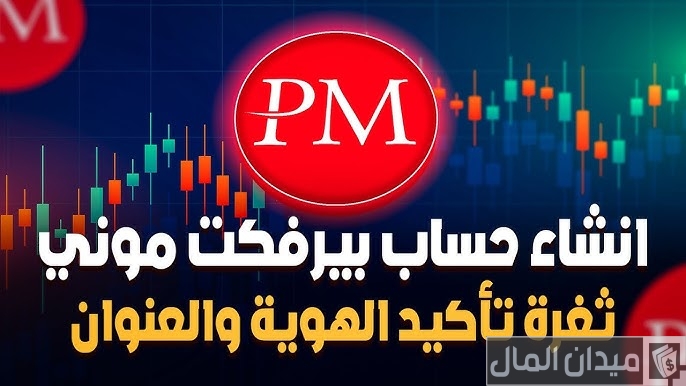 شرح خطوات تسجيل حساب في بنك Perfect Money بيرفكت موني