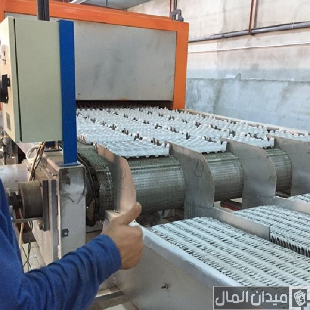 تكلفة خط إنتاج أطباق البيض الكرتون