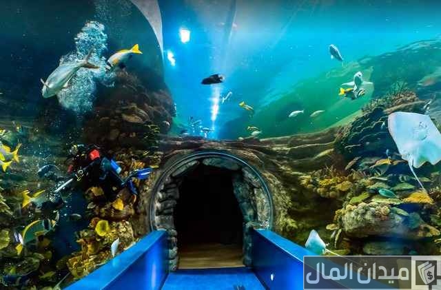 حجز تذاكر الدخول إلى مربى الشارقة للأحياء المائية