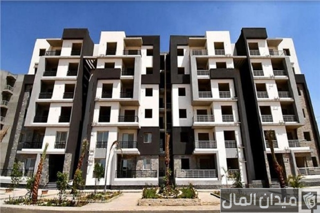 دار مصر الشيخ زايد