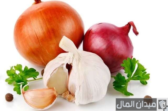 دراسة جدوى مشروع تجفيف البصل والثوم