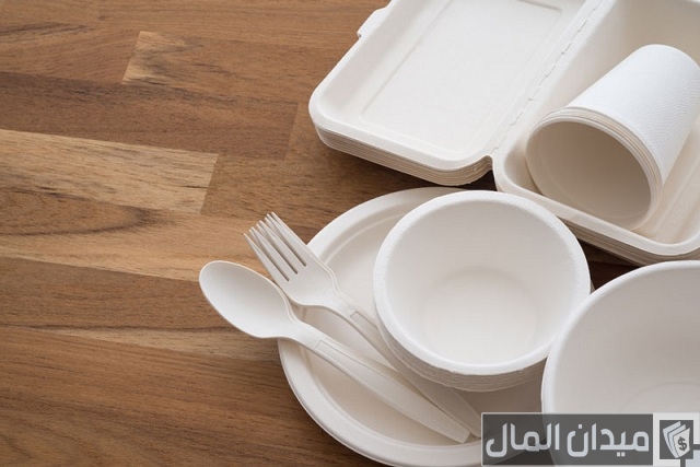 دراسة جدوى مشروع مصنع أطباق فوم