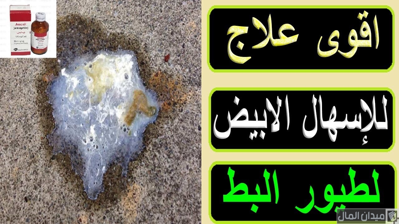 علاج الإسهال الابيض عند البط بالاعشاب والادوية