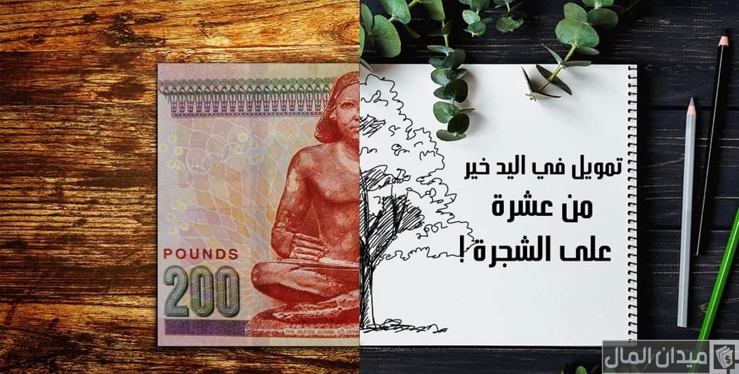 أسماء وعناوين قروض شخصية من شركات التمويل
