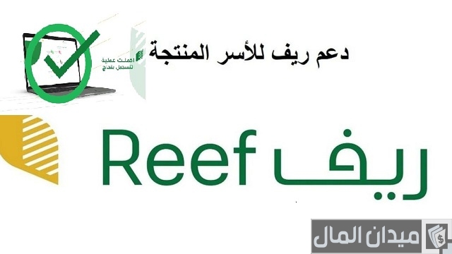 كم دعم ريف لربات البيوت