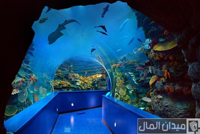 مربى الشارقة للأحياء المائية