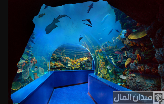 مربى الشارقة للأحياء المائية مربى الشارقة للأحياء المائية