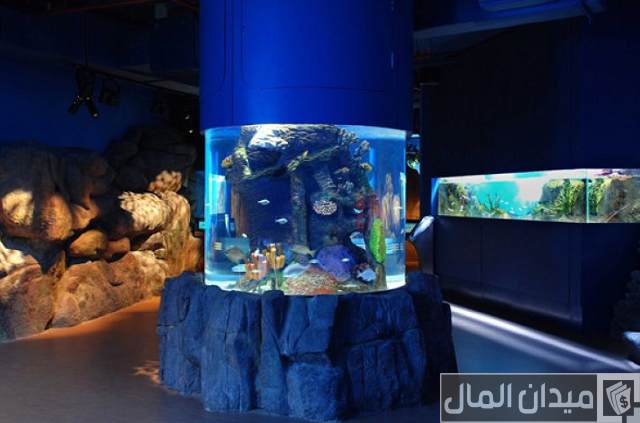 مربى الشارقة للأحياء المائية مربى الشارقة للأحياء المائية