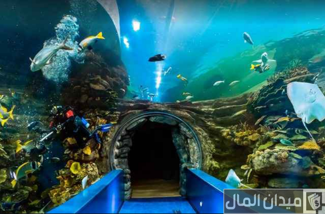 مربى الشارقة للأحياء المائية مربى الشارقة للأحياء المائية