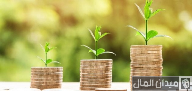 مشاريع مربحة في الأرياف