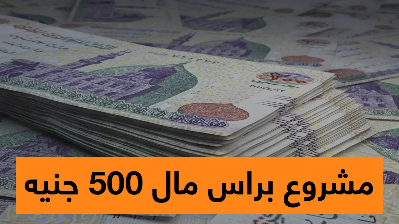 فكرة مشروع برأس مال 500 جنيه