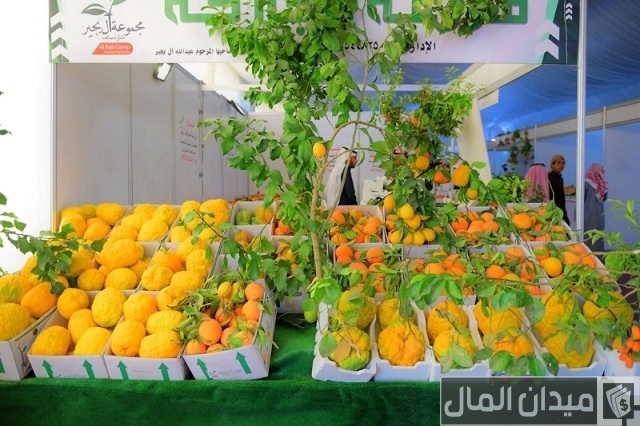 موعد مهرجان الحمضيات الحريق