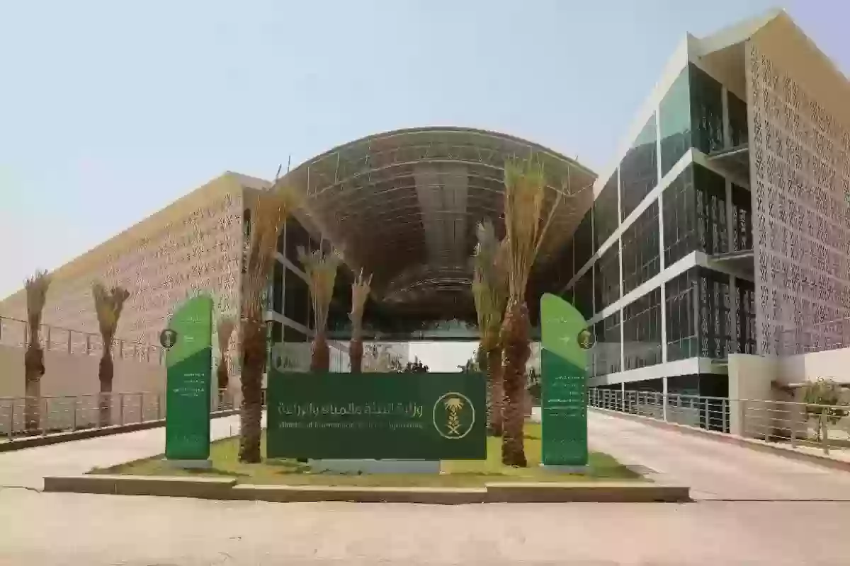 هل دعم المواشي يؤثر على الضمان الاجتماعي المطور؟.. “الموارد البشرية” تجيب