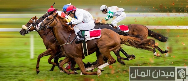 هيئة الامارات لسباق الخيل