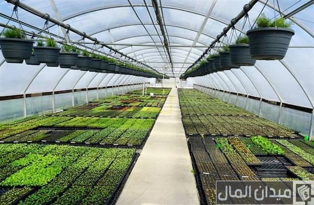 أنواع الصوب الزراعية