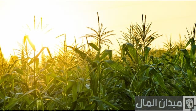 زراعة المحاصيل الزراعية في العراق زراعة المحاصيل الزراعية في العراق