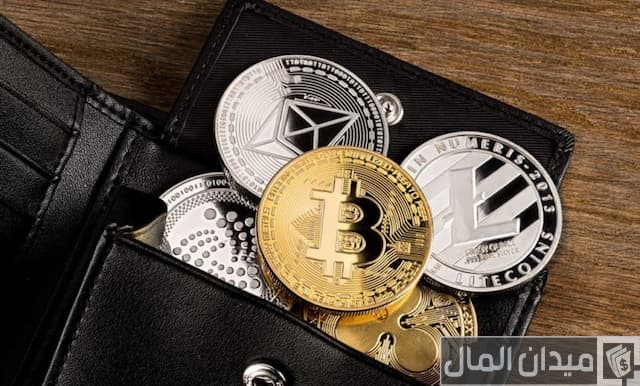 محفظة تخزين عملات الرقمية