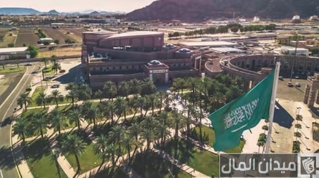 جامعة طيبة