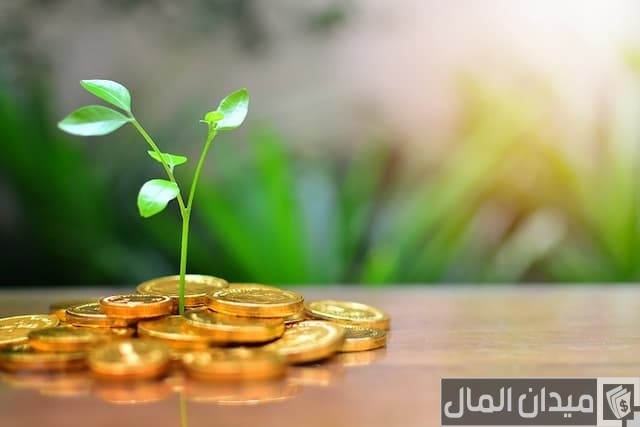 أفضل طرق استثمار المال