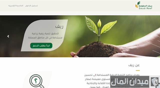 مبلغ دعم ريف للسمن 