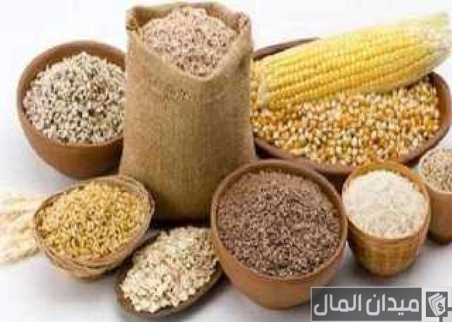 أنواع أعلاف الدواجن في مصر