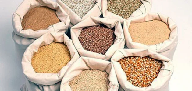 أجود أنواع أعلاف الدواجن في مصر أنواع أعلاف الدواجن في مصر