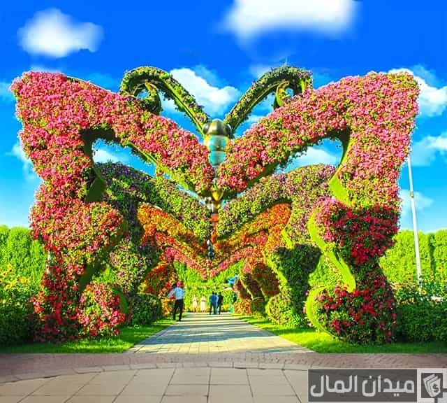 أوقات عمل حديقة الفراشات الشارقة أوقات عمل حديقة الفراشات الشارقة