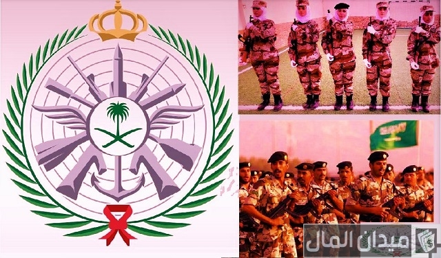 البوابة الموحدة لوزارة الدفاع السعودية البوابة الموحدة لوزارة الدفاع السعودية