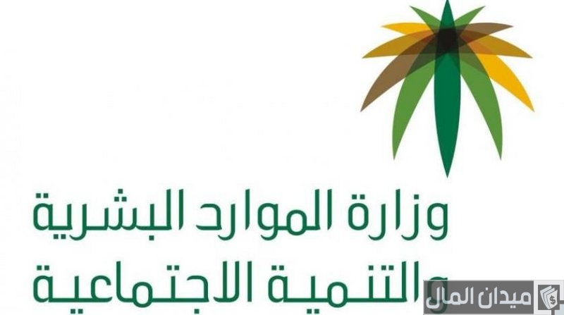 هل يحق للموظف الحكومي العمل في وظيفتين وشروط الجمع