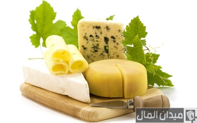 اماكن بيع الجبن بالجملة في مصر