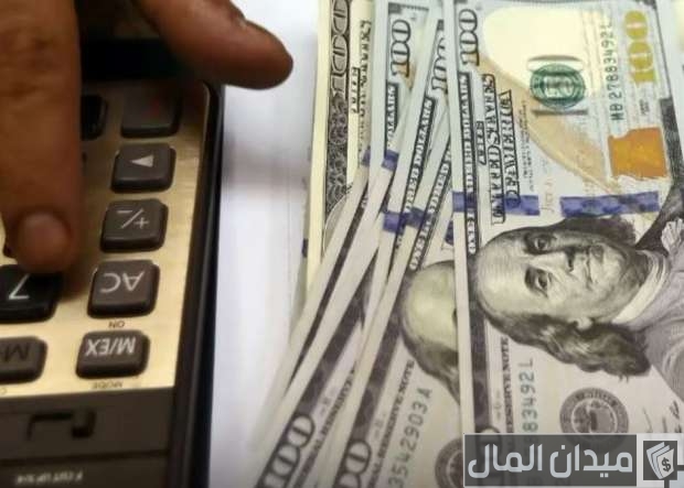 ما هو تأثير رفع سعر الفائدة على الدولار؟