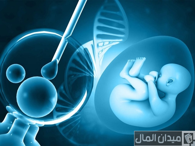 تكلفة عملية طفل الأنابيب